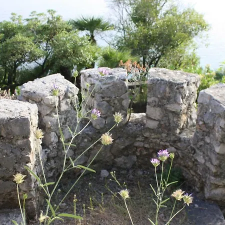 Arcomarino Grimaldi (Liguria)